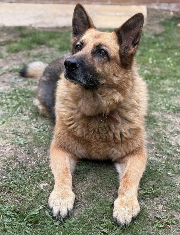 Molly (3)
