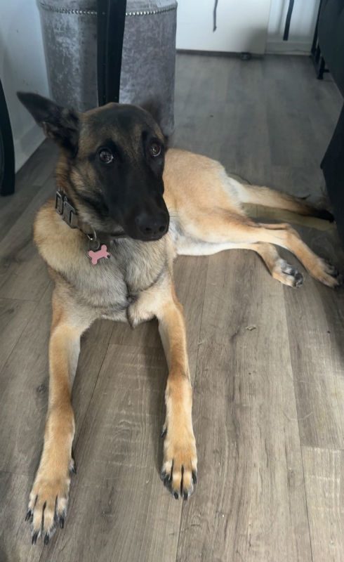 Xena (1)