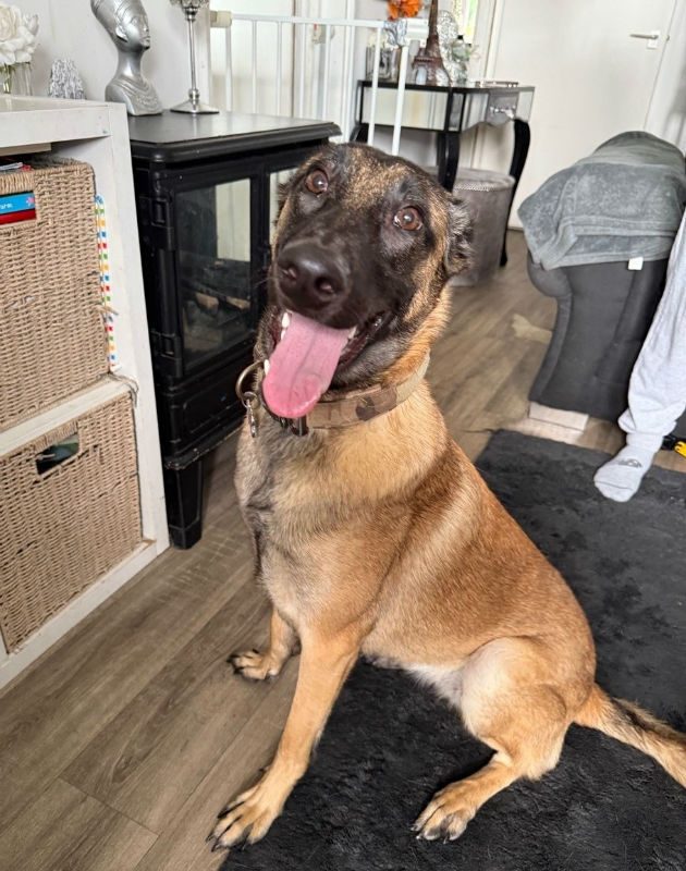 Xena (2)