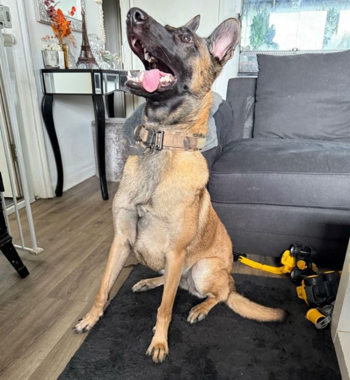 Xena (3)