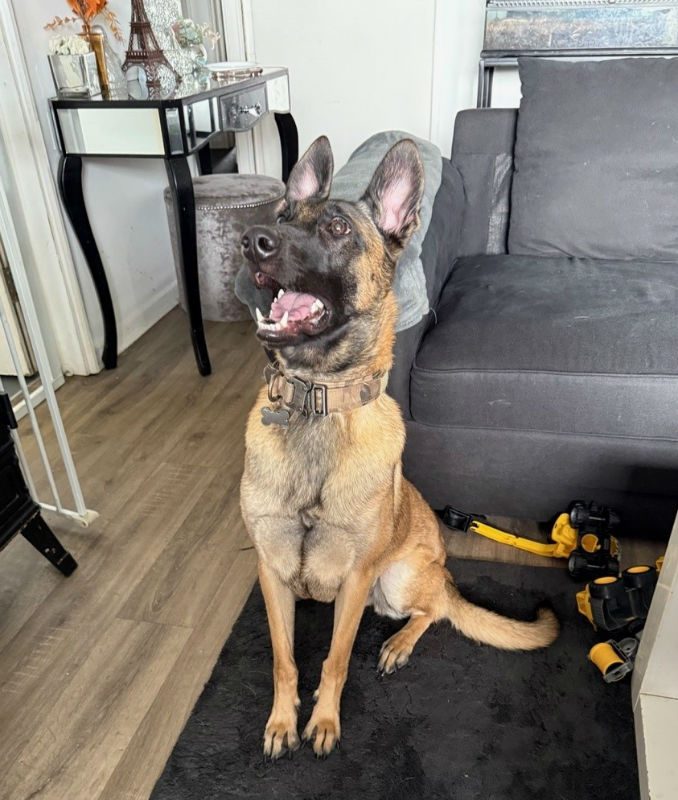 Xena (4)