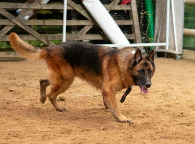 Fred (5)