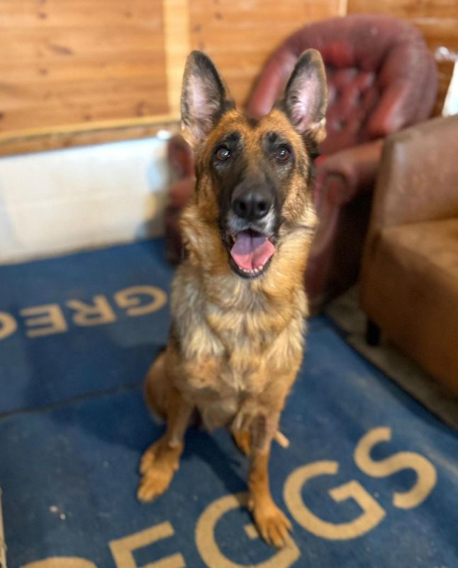 Piper (6)