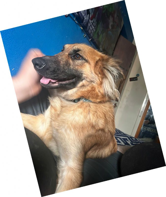 Thunder (1) Thunder (1)