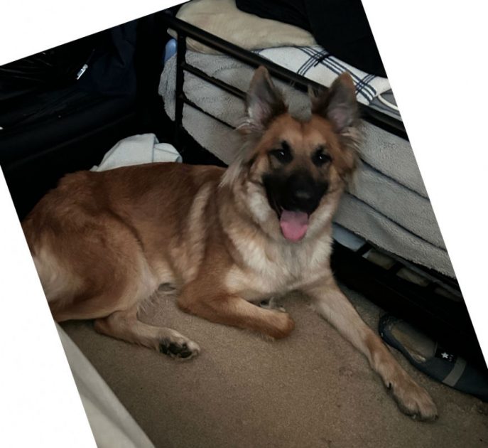 Thunder (2) Thunder (2)