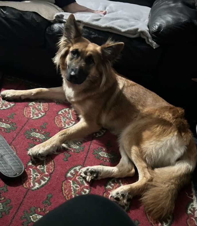 Thunder (3) Thunder (3)