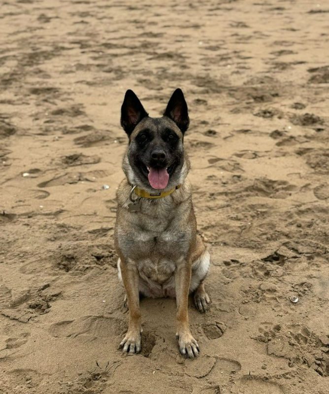 Winnie (6) Winnie (6)