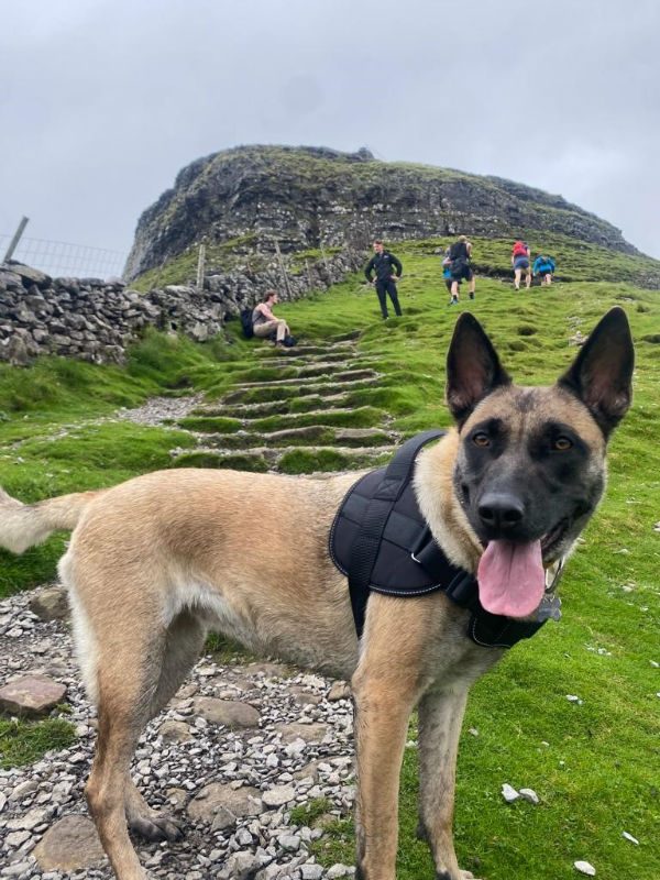 Winnie (7) Winnie (7)