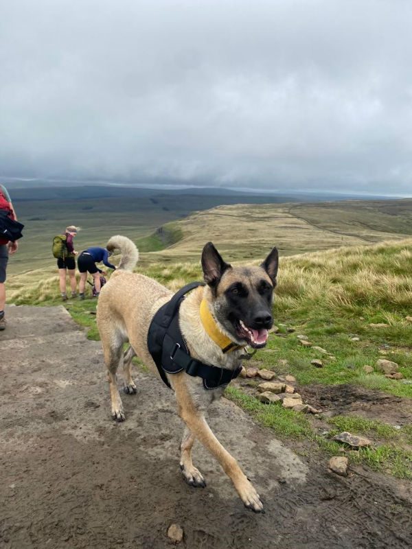 Winnie (8) Winnie (8)