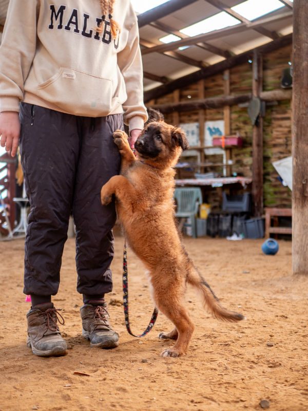 Blossom (3) Blossom (3)