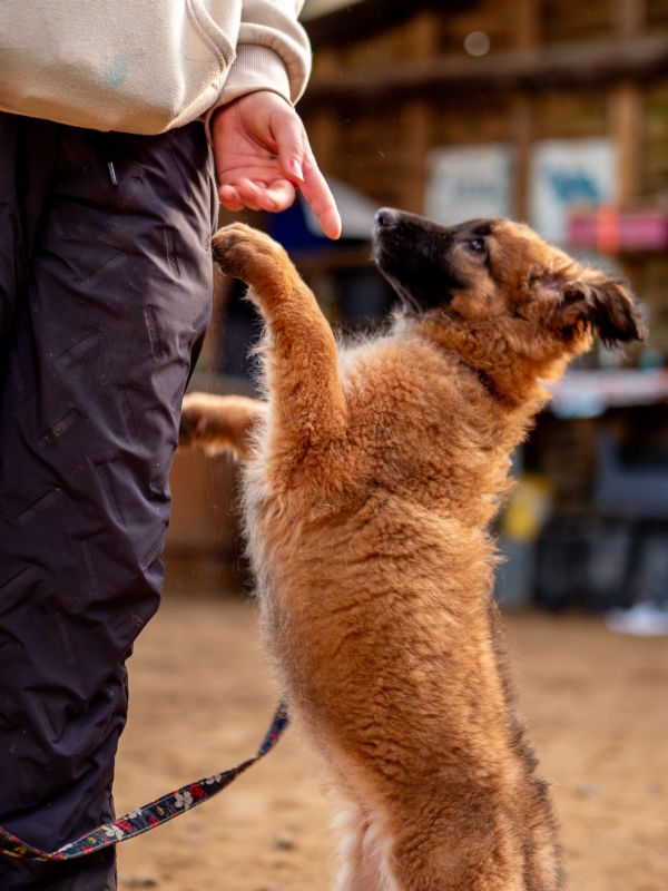 Blossom (7) Blossom (7)