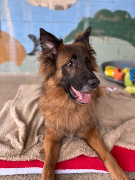 IMG-20251216-WA0006_result