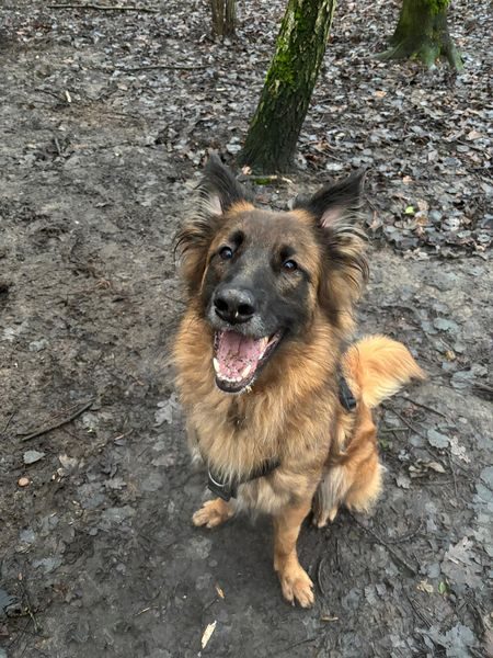 IMG-20251220-WA0002_result