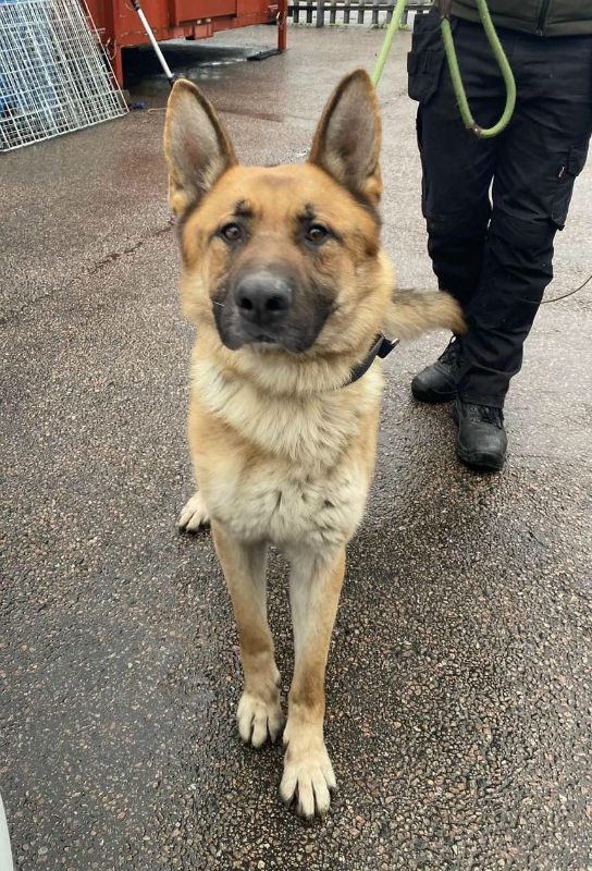 Kaiser (1) Kaiser (1)