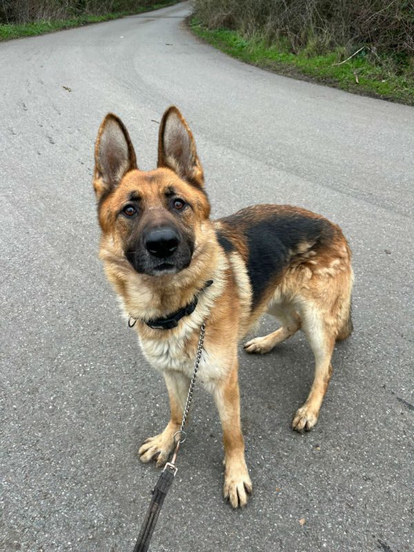 Kaiser (2) Kaiser (2)