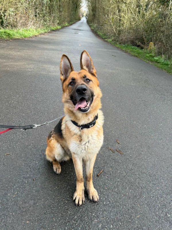 Kaiser (5) Kaiser (5)