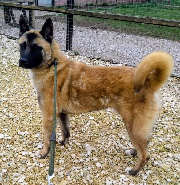 0290e47b-4f2e-4d97-8286-b4f5da84e1d4_result 0290e47b-4f2e-4d97-8286-b4f5da84e1d4_result