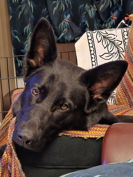 20260205_210945_result