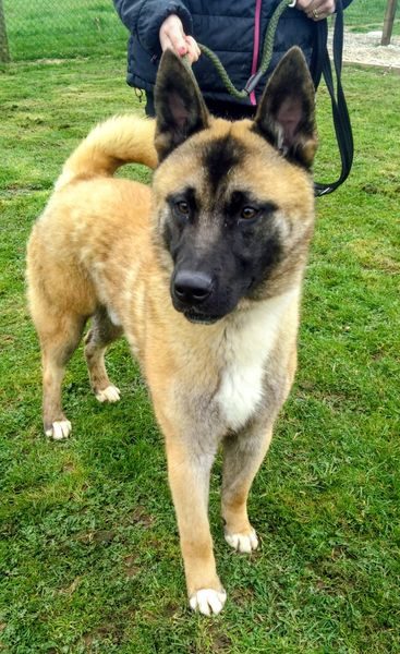 25de18e2-df6b-40f2-8901-e199f20bc384_result 25de18e2-df6b-40f2-8901-e199f20bc384_result