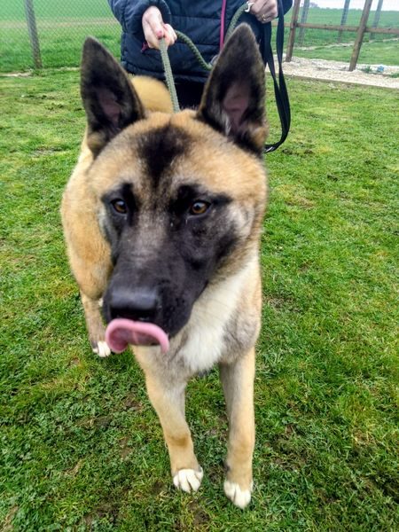 e6ee41a5-9eec-4082-bd6b-394d7e1d630d_result e6ee41a5-9eec-4082-bd6b-394d7e1d630d_result