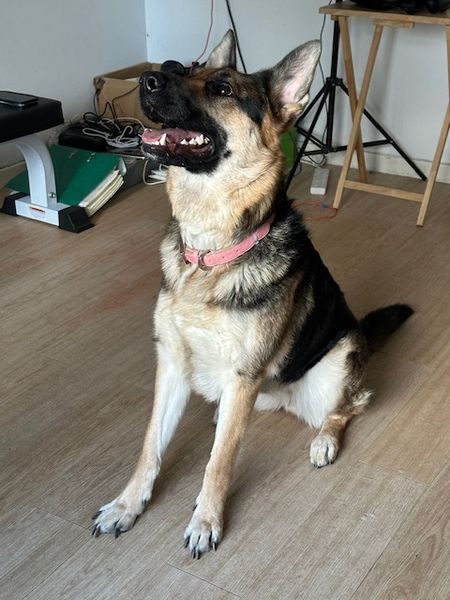 image1_result image1_result