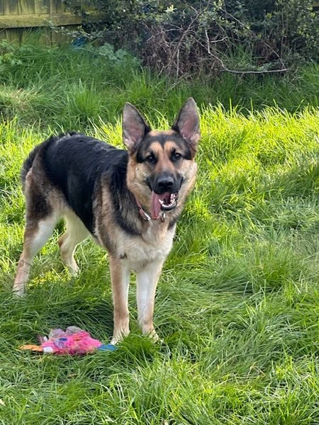 image3_result image3_result