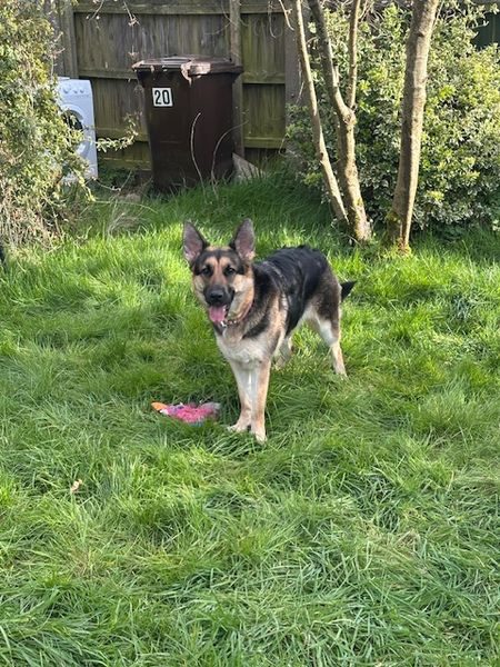 image4_result image4_result