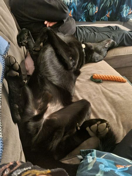 IMG-20251006-WA0001_result