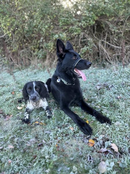 IMG-20251120-WA0010_result