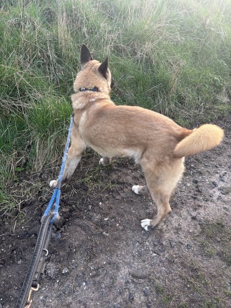 IMG_4713_result IMG_4713_result