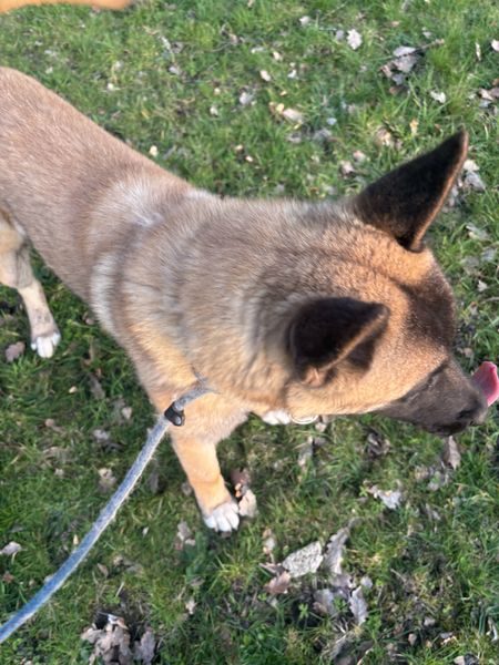 IMG_4714_result IMG_4714_result