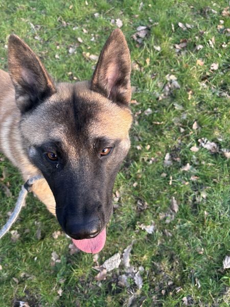 IMG_4715_result IMG_4715_result