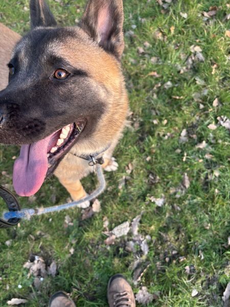 IMG_4716_result IMG_4716_result