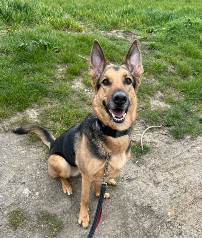 Prince (1) Prince (1)