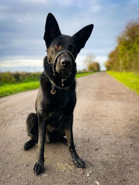 Rudy - Barkley_result