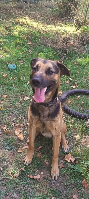 Milo (2)