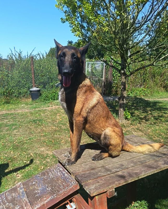 Roxy (2)