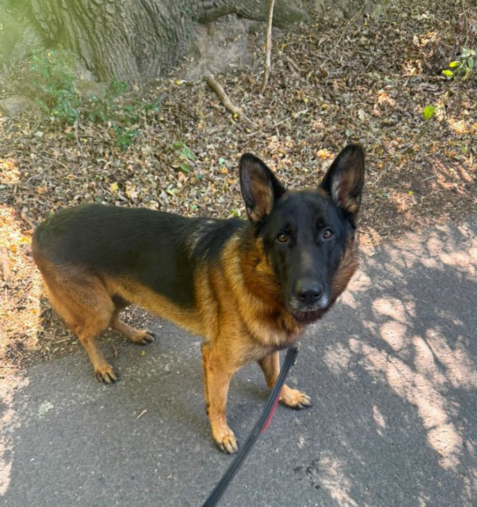Zeus (2)