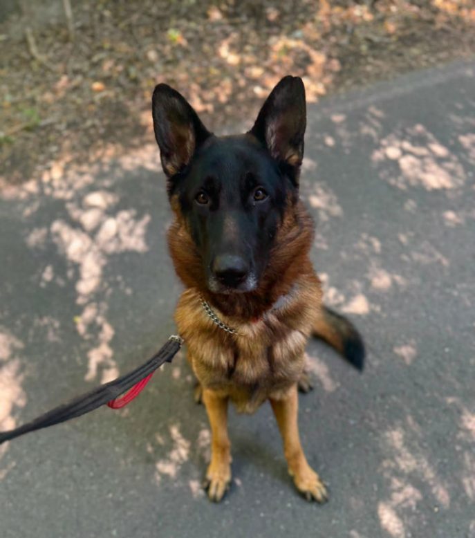 Zeus (4)