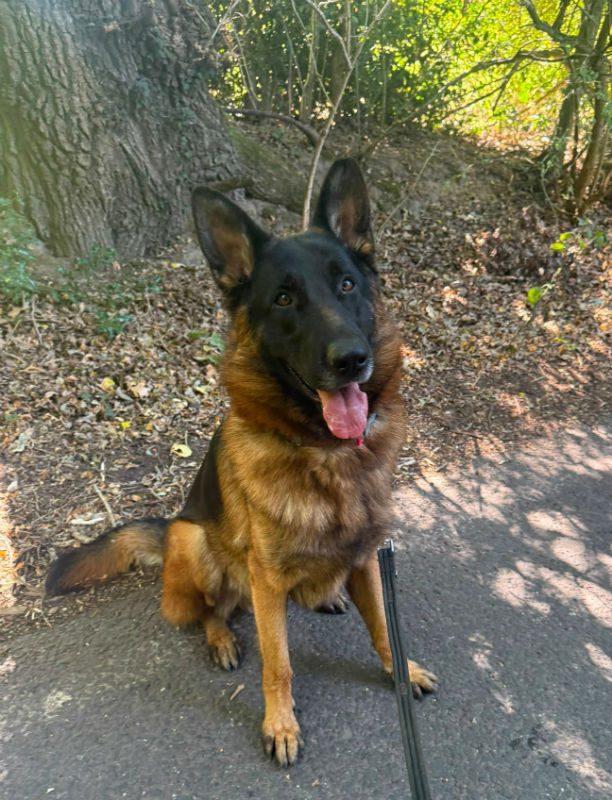Zeus (5)