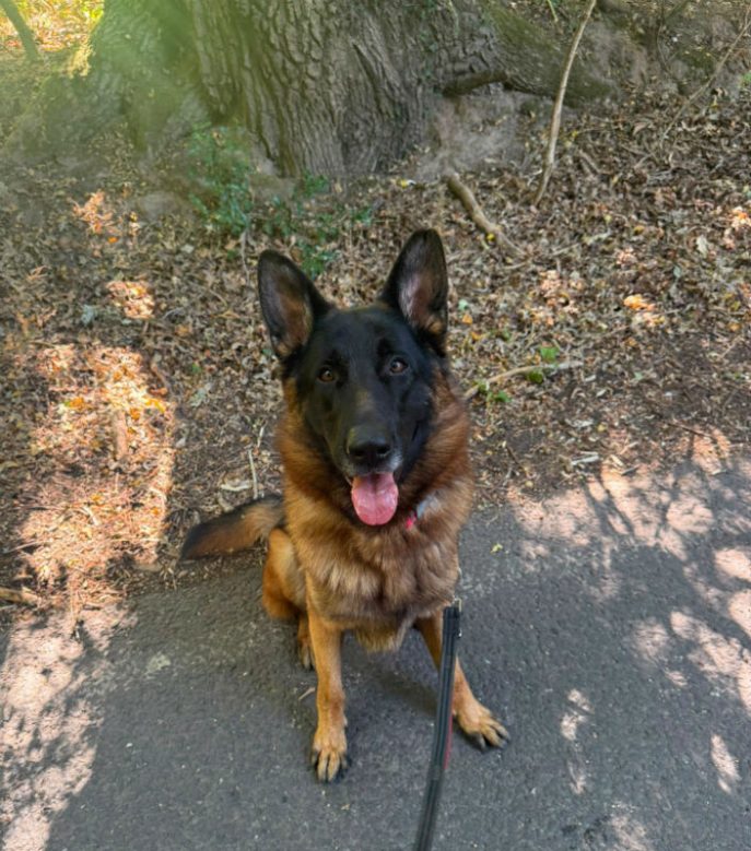 Zeus (6)