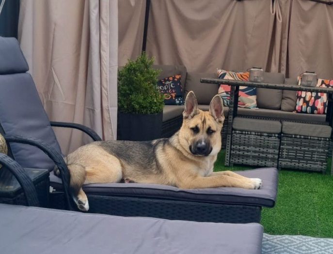 Jax (1)