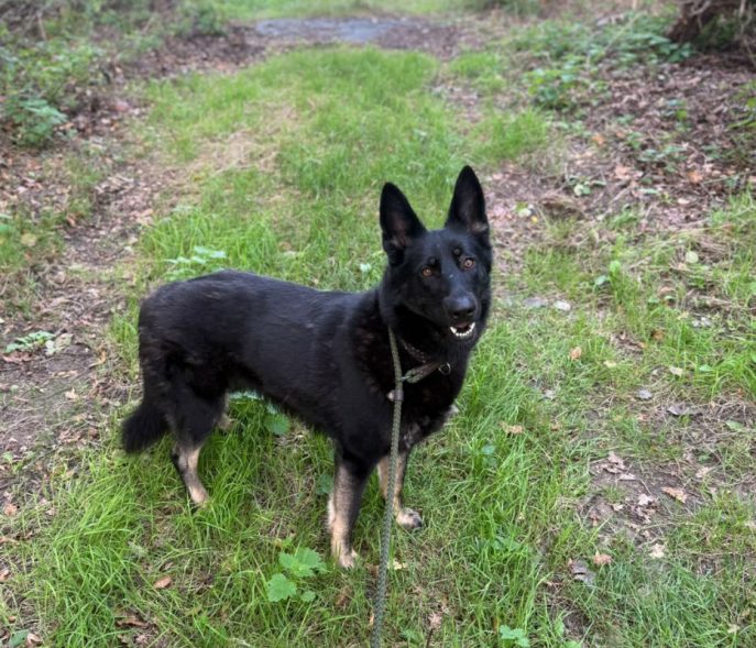 Nellie (2)