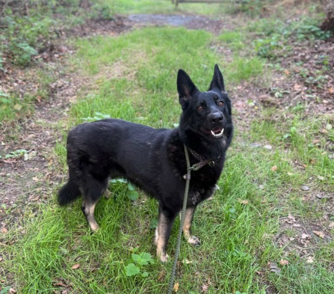 Nellie (3)