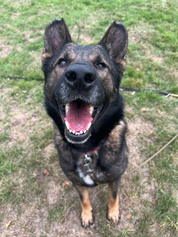 Kaiser (4)
